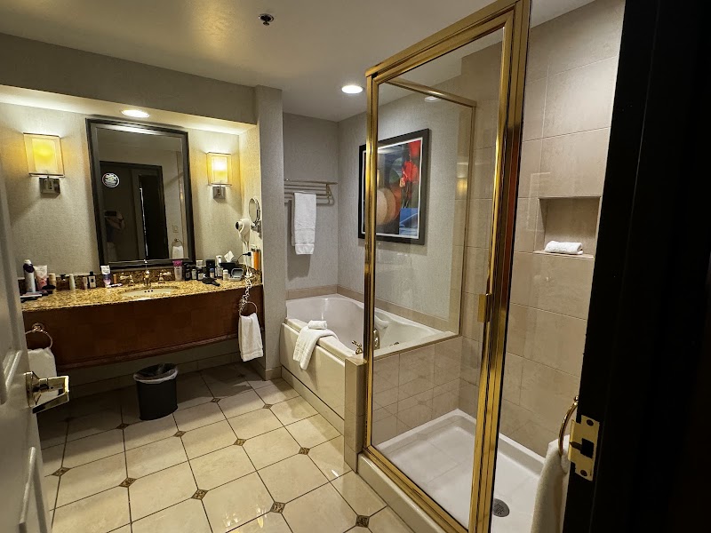 Ameristar Casino Resort Spa East Chicago photo 5