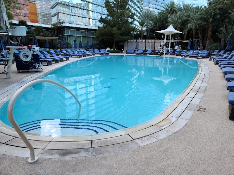 Aria Resort & Casino photo 3