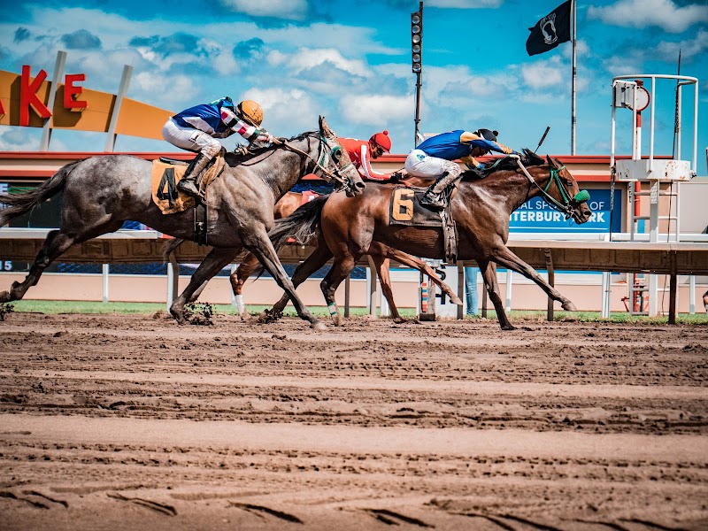 Canterbury Park photo 8