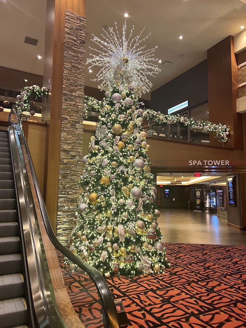 Choctaw Casino & Resort Durant photo 5