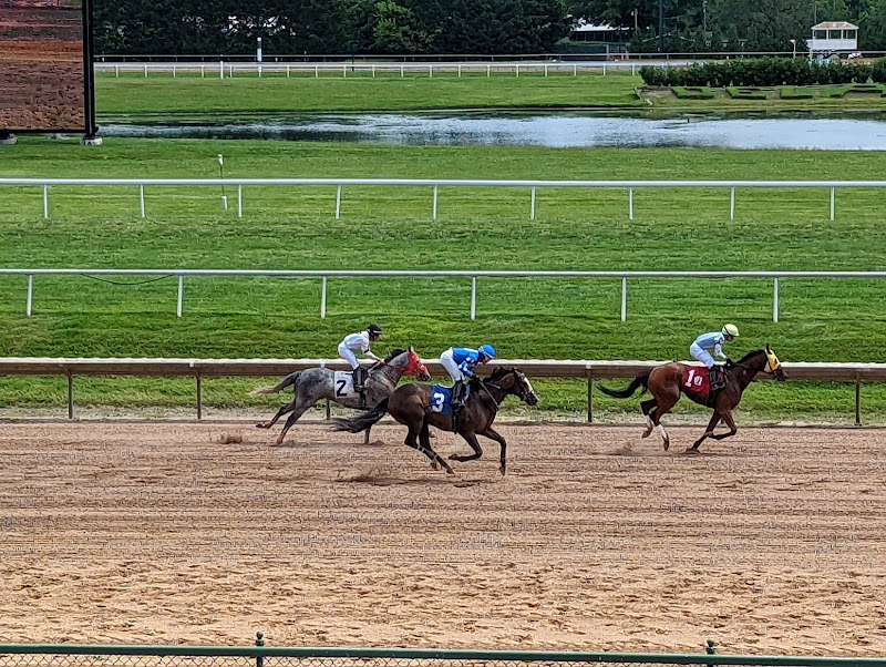 Delaware Park Casino & Racing photo 8