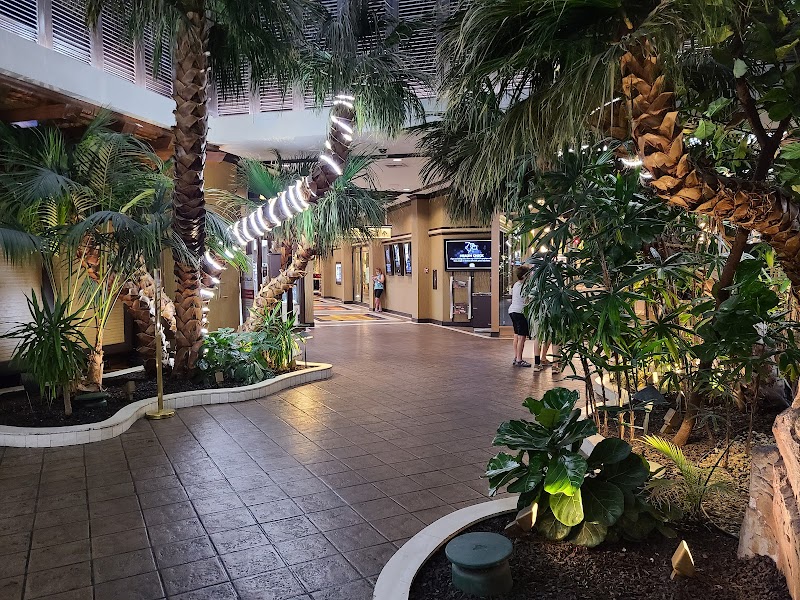 Golden Nugget Laughlin Hotel & Casino photo 7