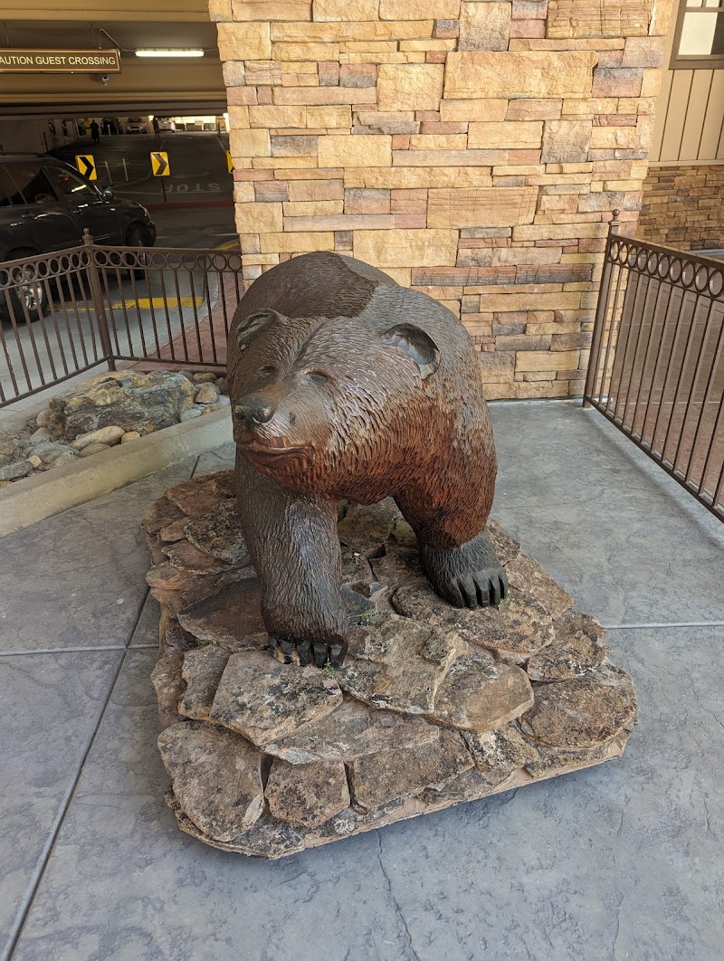 Jackson Rancheria Casino Resort photo 6