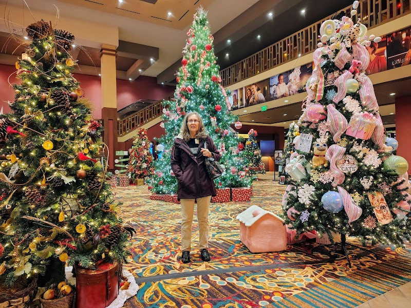 Kansas Star Casino & Hotel photo 7