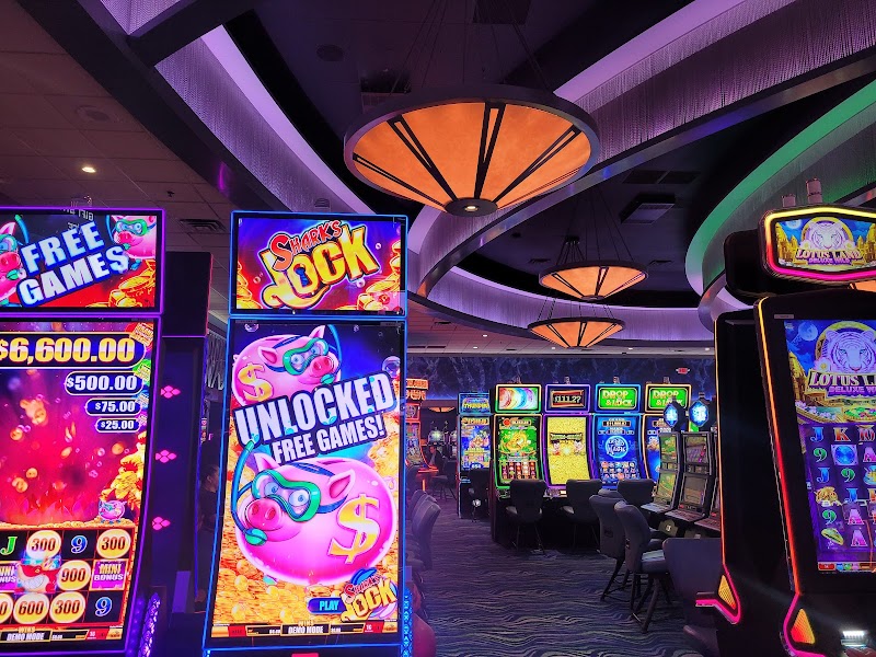 Paradise Casino Yuma