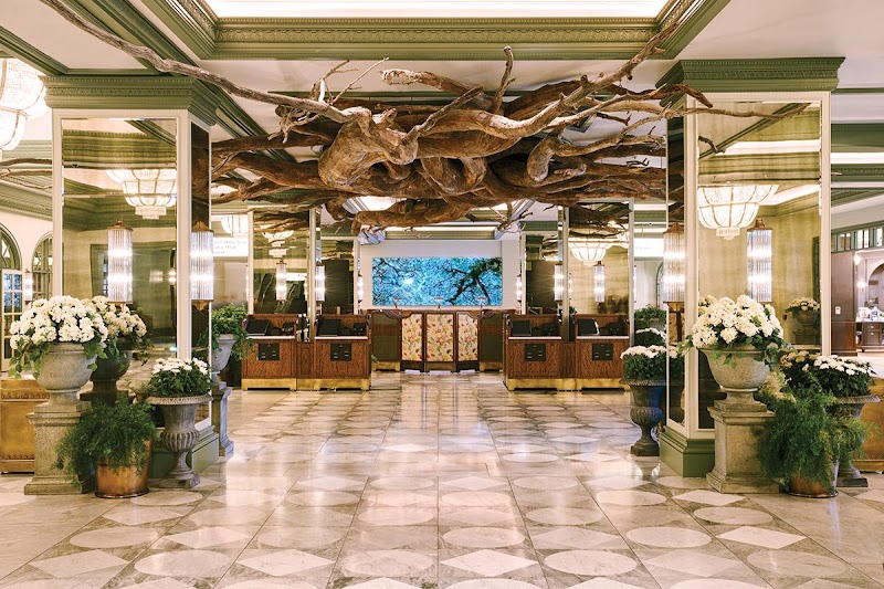 Park MGM Las Vegas photo 5