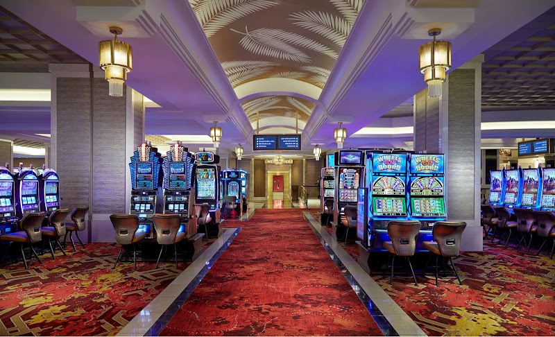 Seminole Hard Rock Hotel & Casino Tampa photo 5