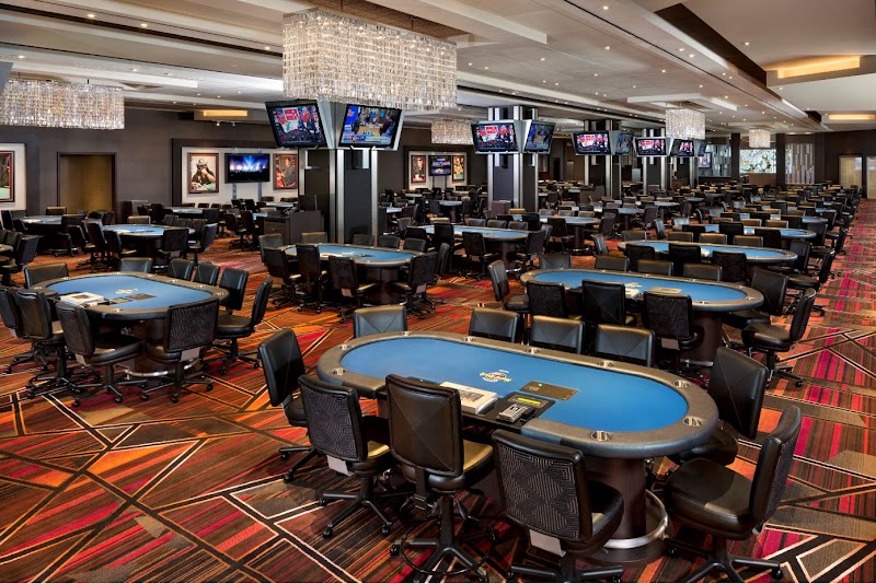 Seminole Hard Rock Hotel & Casino Tampa photo 6