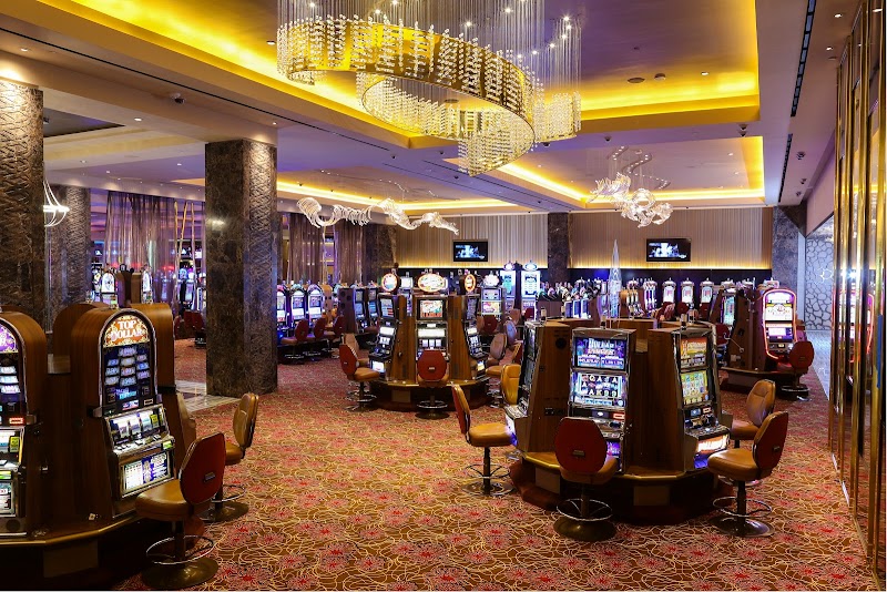 Seminole Hard Rock Hotel & Casino Tampa photo 7