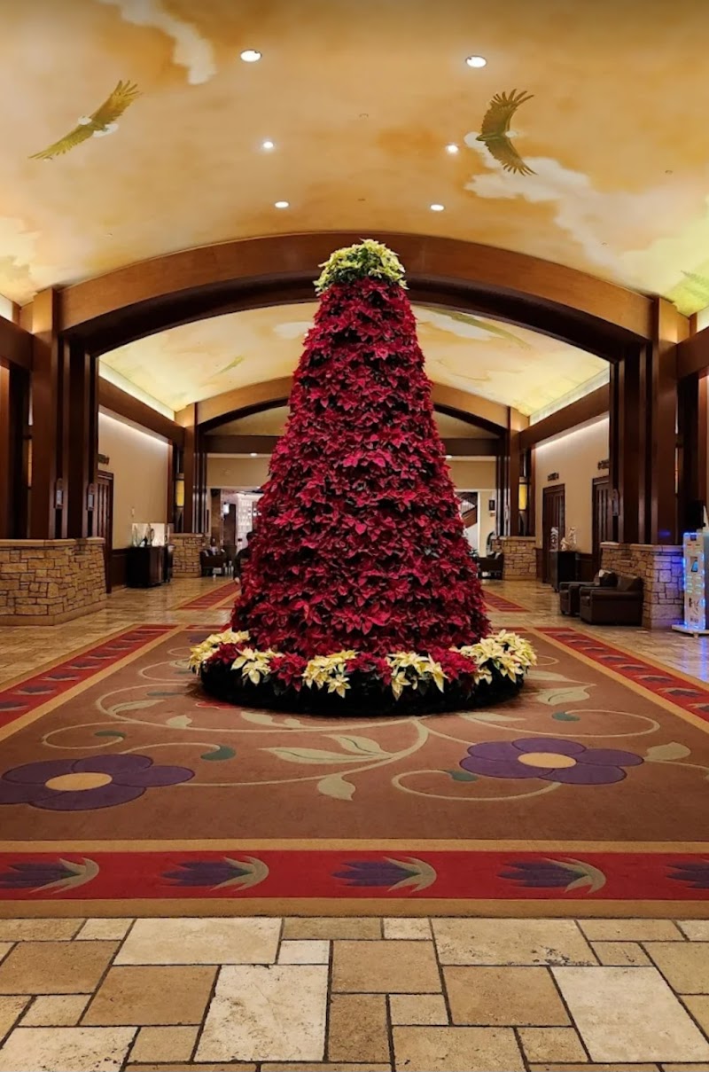 Soaring Eagle Casino & Resort photo 7