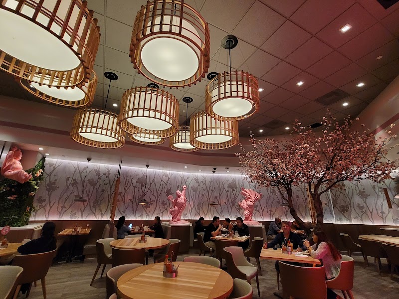 Lucky Noodle Bar