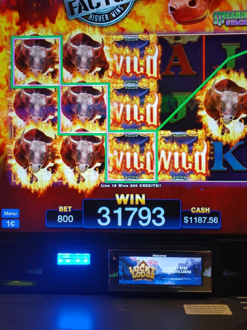 Table Mountain Casino Resort photo 8