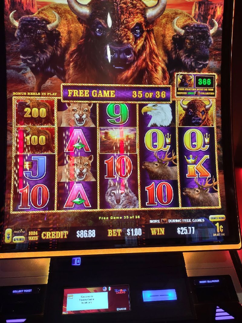 Texoma Casino photo 6