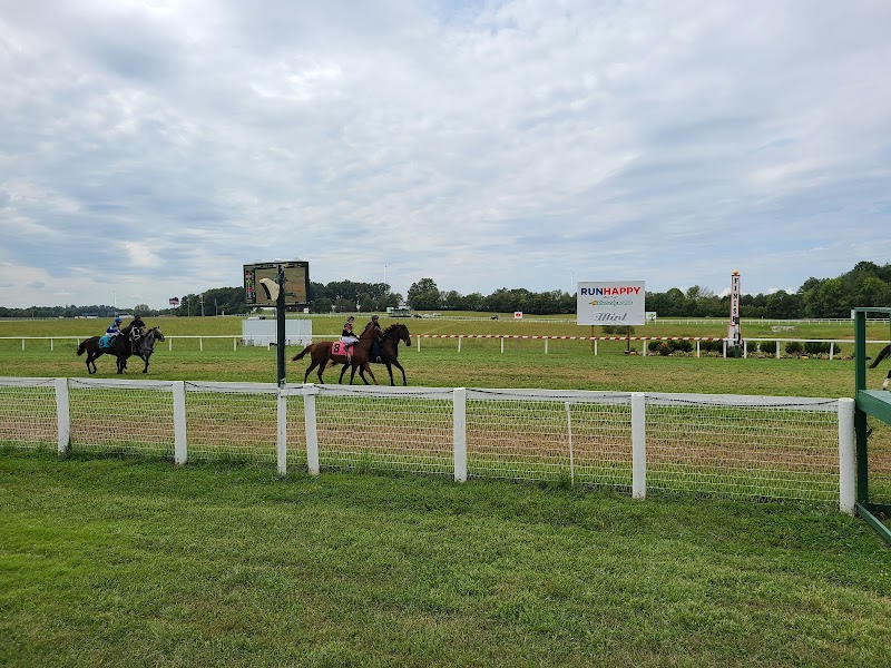 The Mint at Kentucky Downs photo 5