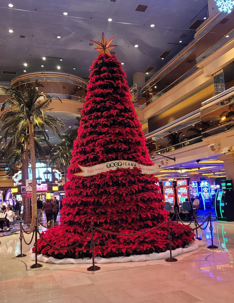 Tropicana Atlantic City photo 8