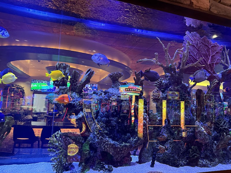 Valley View Casino & Hotel photo 5
