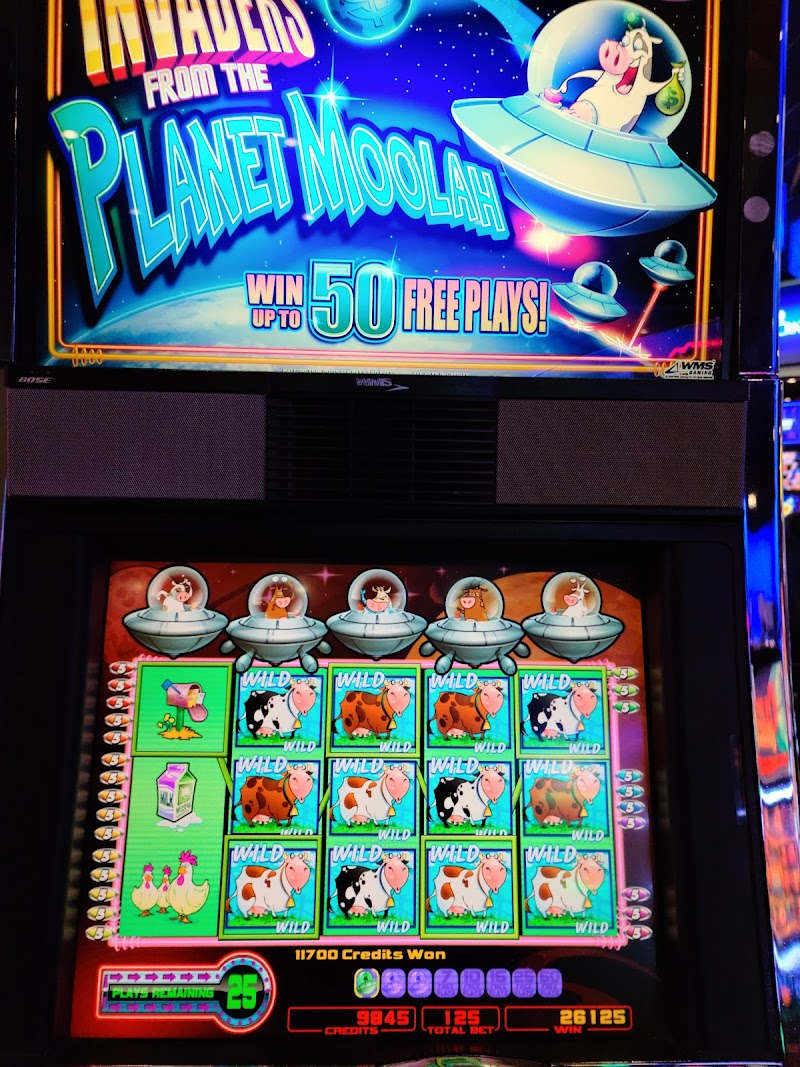 Warm Springs Casino photo 8