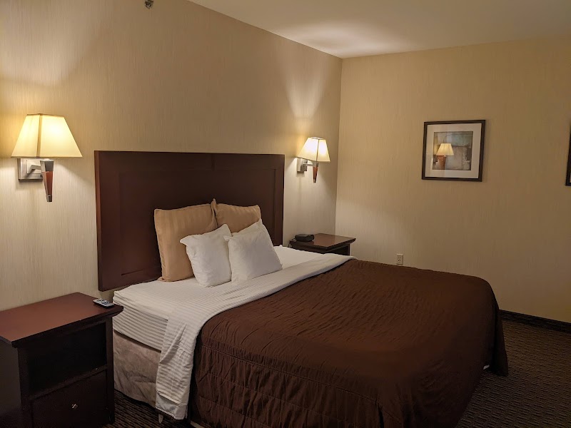 WinnaVegas Casino Resort photo 5